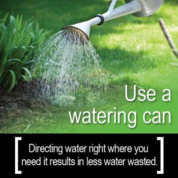 Conservation Tip: Use a watering can, directing water right where you need it