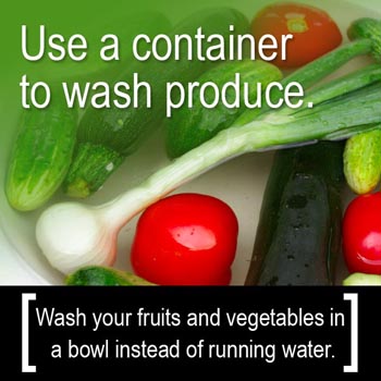 Conservation Tip: Wash fruits and vegetables in a bowl instead of running water