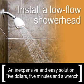Conservation Tip: Install a low-flow shower head