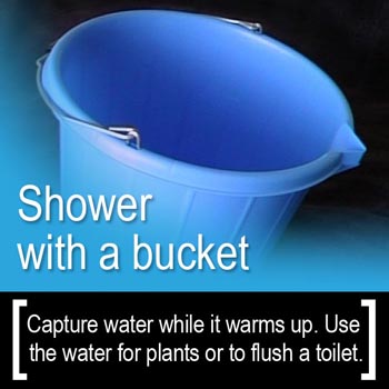Conservation Tip: Shower with a bucket - capture water while the shower warms up to use for watering plants or flush a toilet